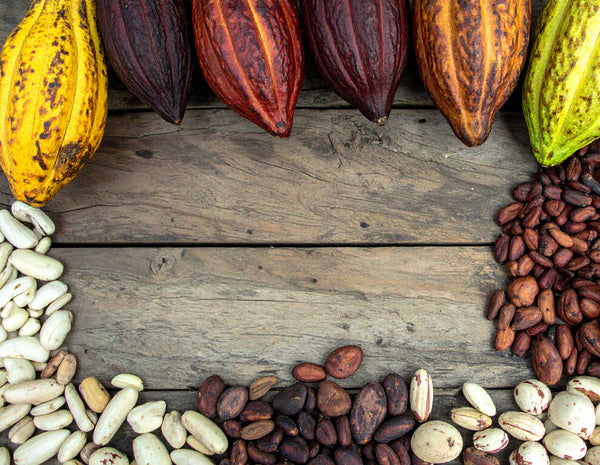 Colorful cacao pods, fermented brown cacao beans, and fresh white cacao seeds arranged on a rustic wooden table, showcasing the stages of chocolate making.