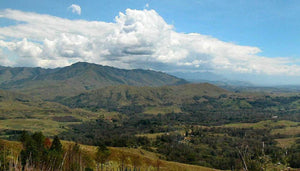 Coffee farm landscape in the Jiwaka Western Highlands region of Papua New Guinea
