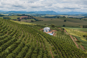 Coffee-growing landscape at Ntango Station in the Nyamasheke District of Rwanda
