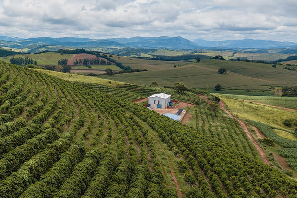 Coffee-growing landscape at Ntango Station in the Nyamasheke District of Rwanda