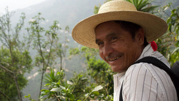 Image of a man picking coffee on coffee plantation