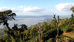 Science image of Nicaragua Finca La Huella mountainside